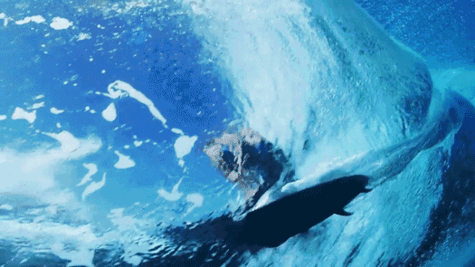 1515484085658900.gif