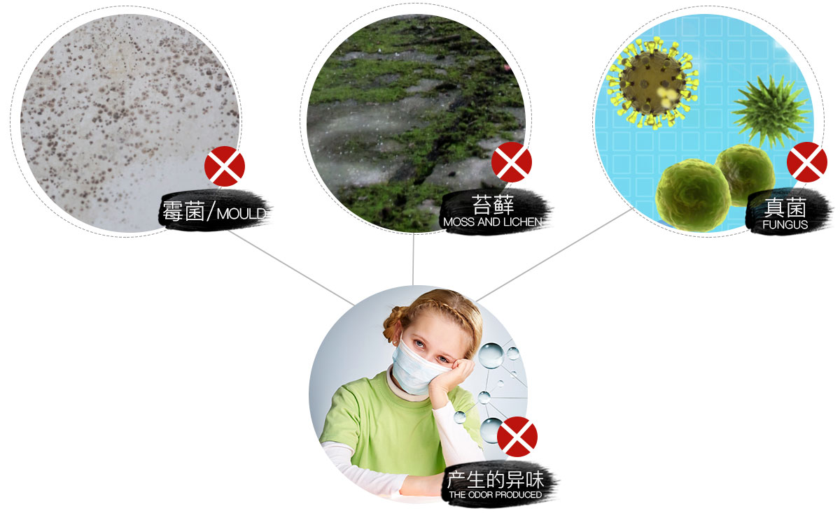 杀灭各种霉菌、苔藓、真菌