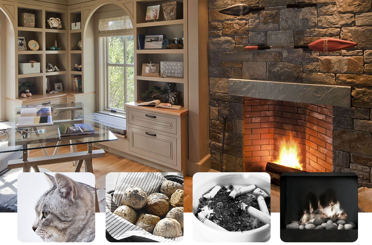 去除室内表面的异味